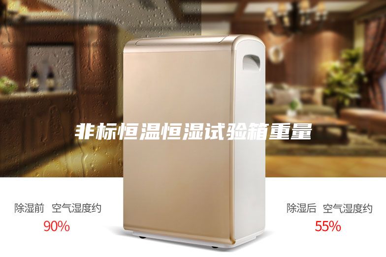 非标恒温恒湿试验箱重量