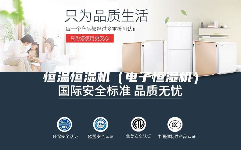 恒温恒湿机（电子恒湿机）