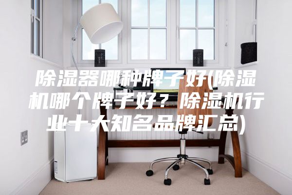 除湿器哪种牌子好(除湿机哪个牌子好？除湿机行业十大知名品牌汇总)