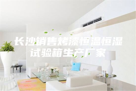 长沙销售烤漆恒温恒湿试验箱生产厂家