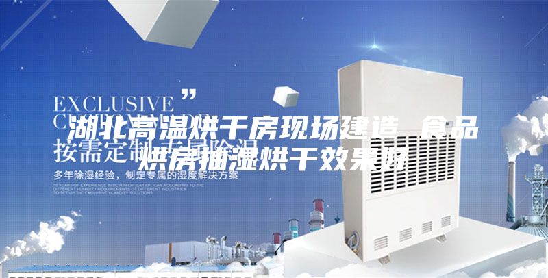 湖北高温烘干房现场建造 食品烘房抽湿烘干效果好