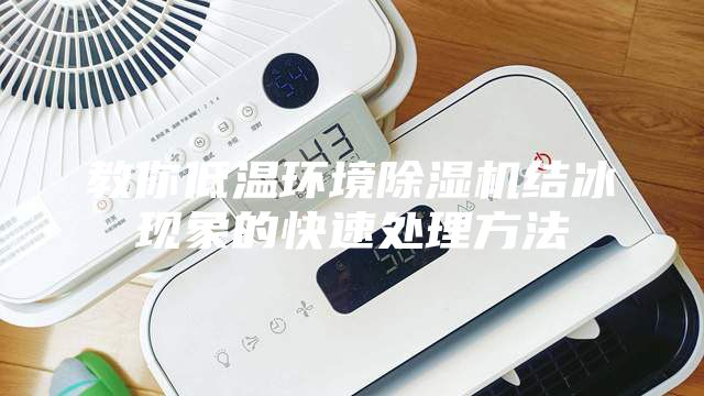教你低温环境除湿机结冰现象的快速处理方法