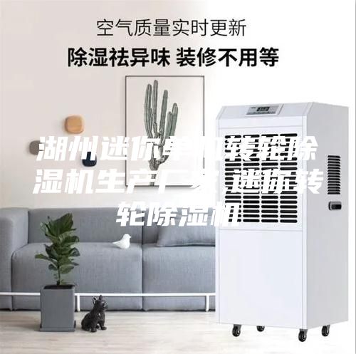 湖州迷你单机转轮除湿机生产厂家,迷你转轮除湿机