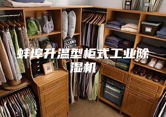 蚌埠升温型柜式工业除湿机