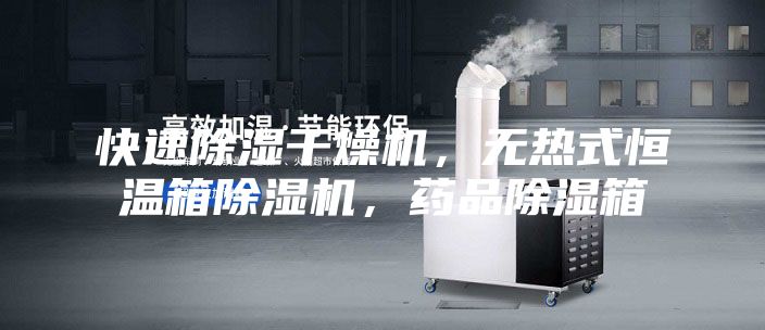 快速除湿干燥机，无热式恒温箱除湿机，药品除湿箱