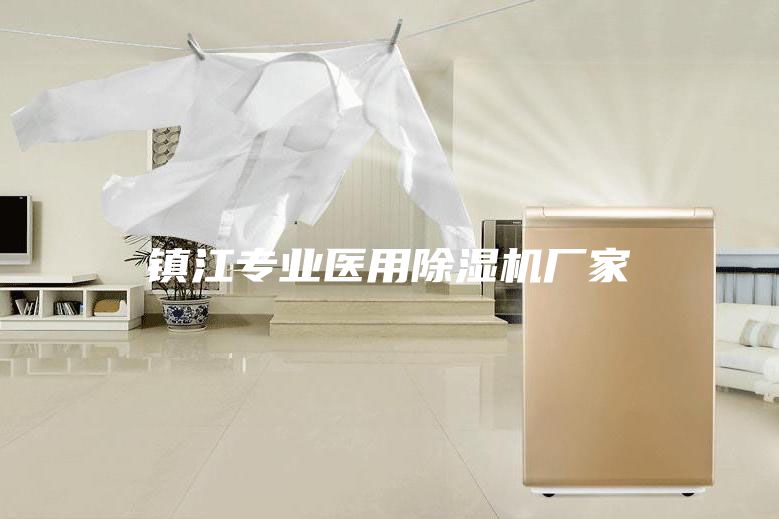 镇江专业医用除湿机厂家