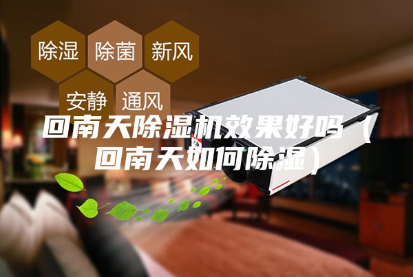 回南天除湿机效果好吗（回南天如何除湿）