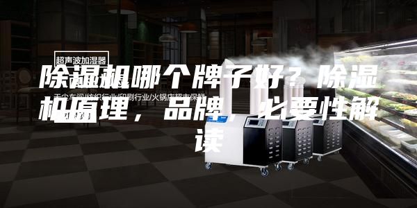 除湿机哪个牌子好？除湿机原理，品牌，必要性解读