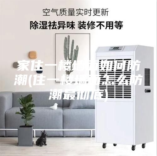 家住一楼墙面如何防潮(住一楼墙面怎么防潮最彻底)