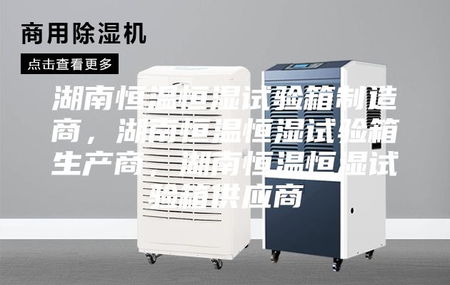 湖南恒温恒湿试验箱制造商，湖南恒温恒湿试验箱生产商，湖南恒温恒湿试验箱供应商