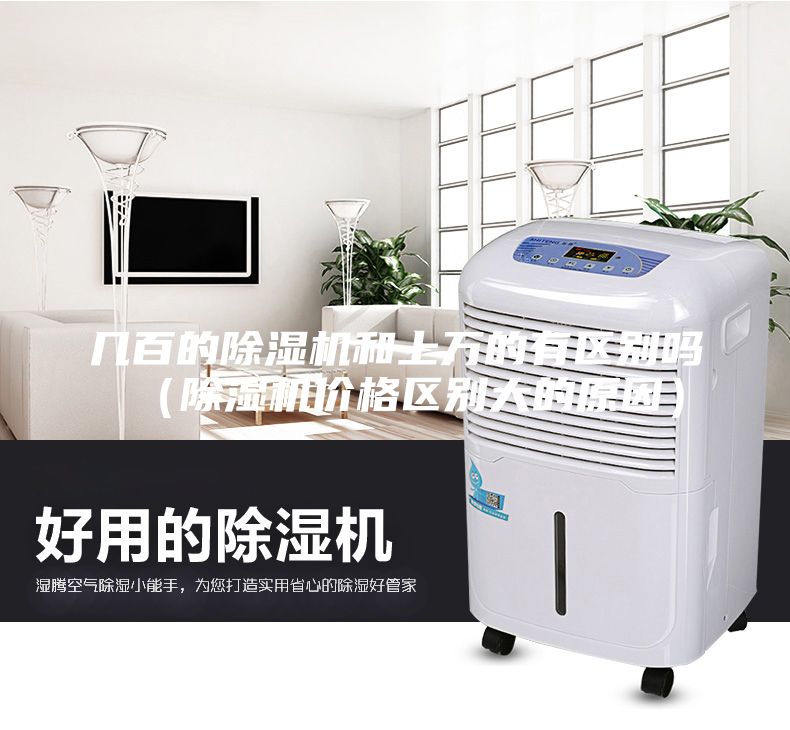 几百的除湿机和上万的有区别吗（除湿机价格区别大的原因）