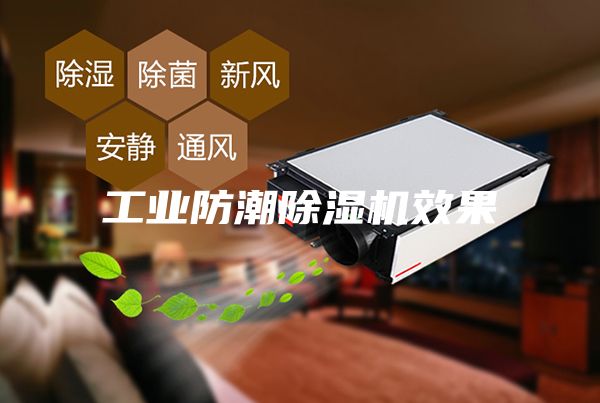 工业防潮除湿机效果