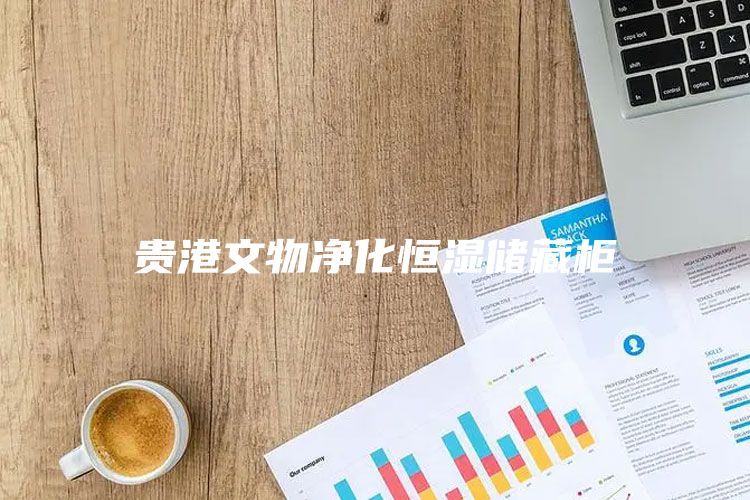 贵港文物净化恒湿储藏柜