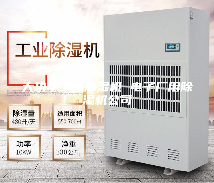 大功率工业除湿机 电子厂用除湿机公司