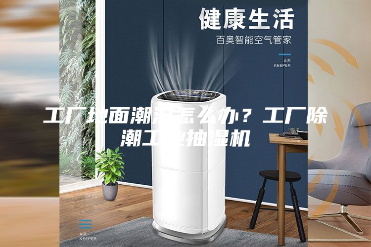 工厂地面潮湿怎么办？工厂除潮工业抽湿机
