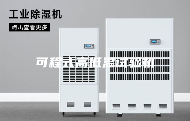 可程式高低温试验机