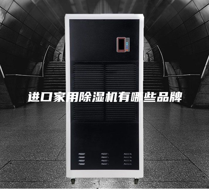进口家用除湿机有哪些品牌