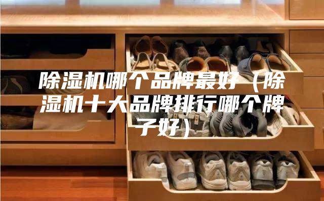 除湿机哪个品牌最好（除湿机十大品牌排行哪个牌子好）