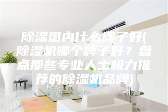 除湿国内什么牌子好(除湿机哪个牌子好？盘点那些专业人士极力推荐的除湿机品牌)