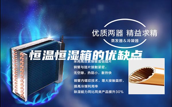 恒温恒湿箱的优缺点