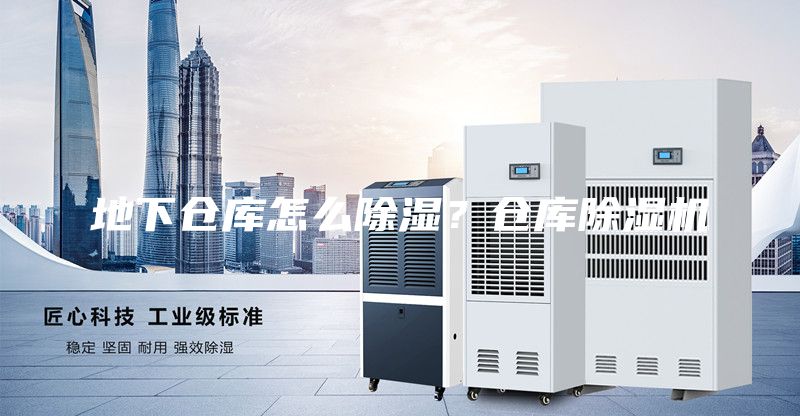 地下仓库怎么除湿？仓库除湿机