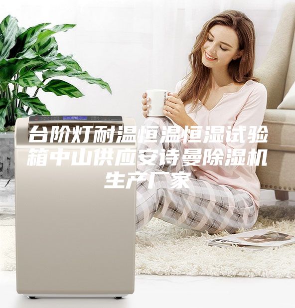 台阶灯耐温恒温恒湿试验箱中山供应安诗曼除湿机生产厂家