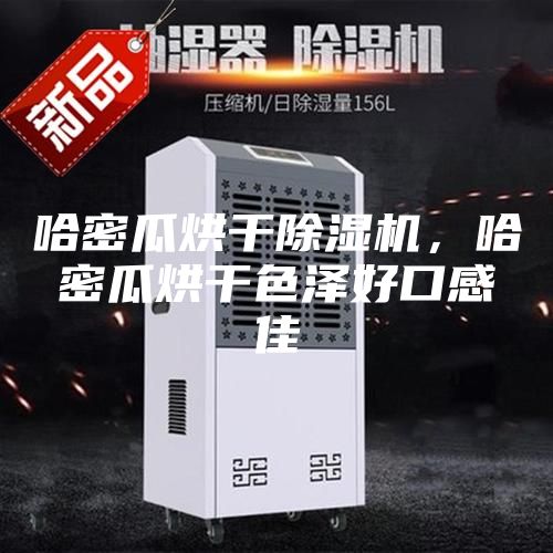 哈密瓜烘干除湿机，哈密瓜烘干色泽好口感佳