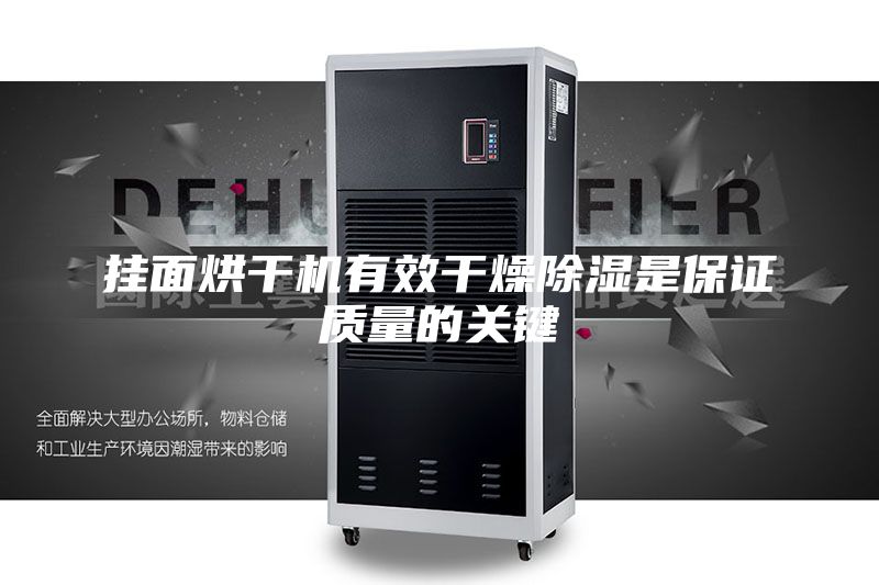 挂面烘干机有效干燥除湿是保证质量的关键