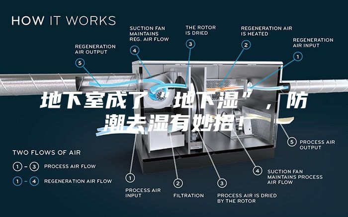 地下室成了“地下湿”，防潮去湿有妙招！