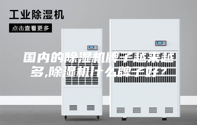 国内的除湿机牌子越来越多,除湿机什么牌子好？