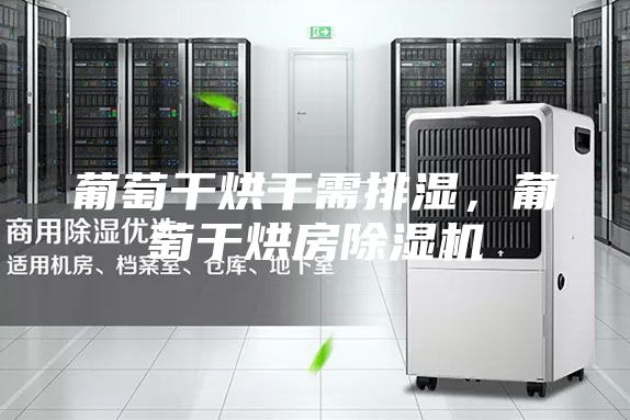 葡萄干烘干需排湿，葡萄干烘房除湿机