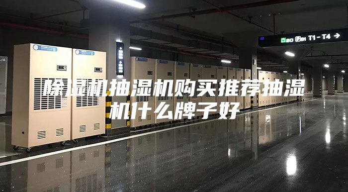 除湿机抽湿机购买推荐抽湿机什么牌子好