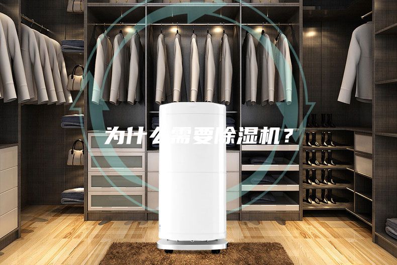 为什么需要除湿机？