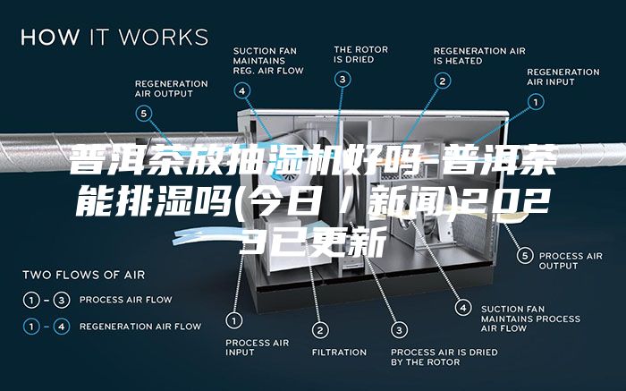 普洱茶放抽湿机好吗-普洱茶能排湿吗(今日／新闻)2023已更新