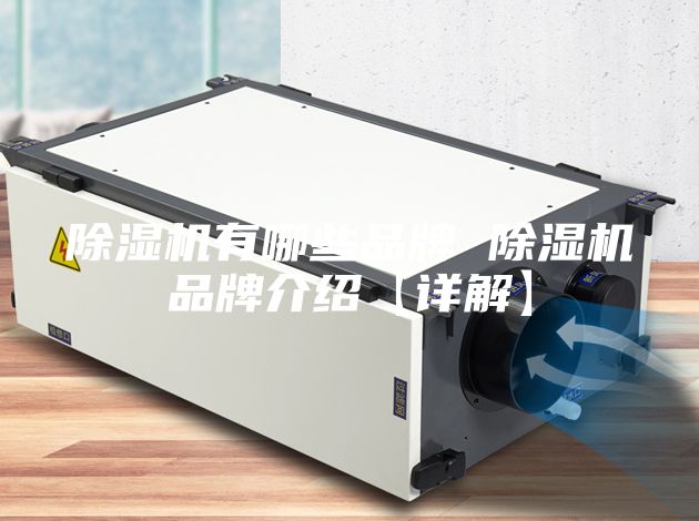 除湿机有哪些品牌 除湿机品牌介绍【详解】