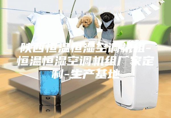 陕西恒温恒湿空调机组-恒温恒湿空调机组厂家定制-生产基地