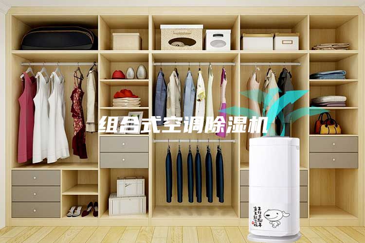组合式空调除湿机