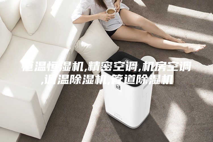 恒温恒湿机,精密空调,机房空调,调温除湿机,管道除湿机
