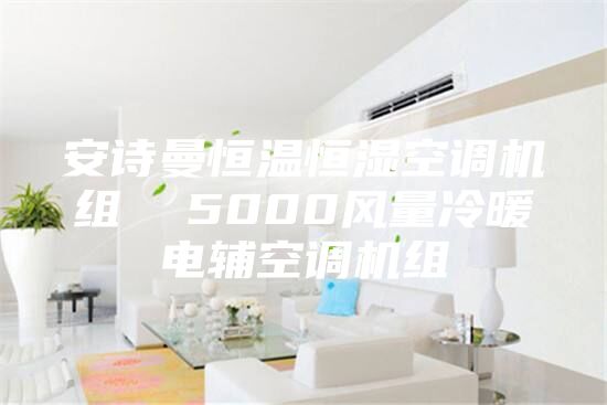 安诗曼恒温恒湿空调机组  5000风量冷暖电辅空调机组