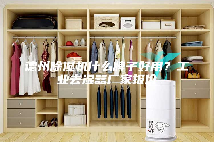 德州除湿机什么牌子好用？工业去湿器厂家报价