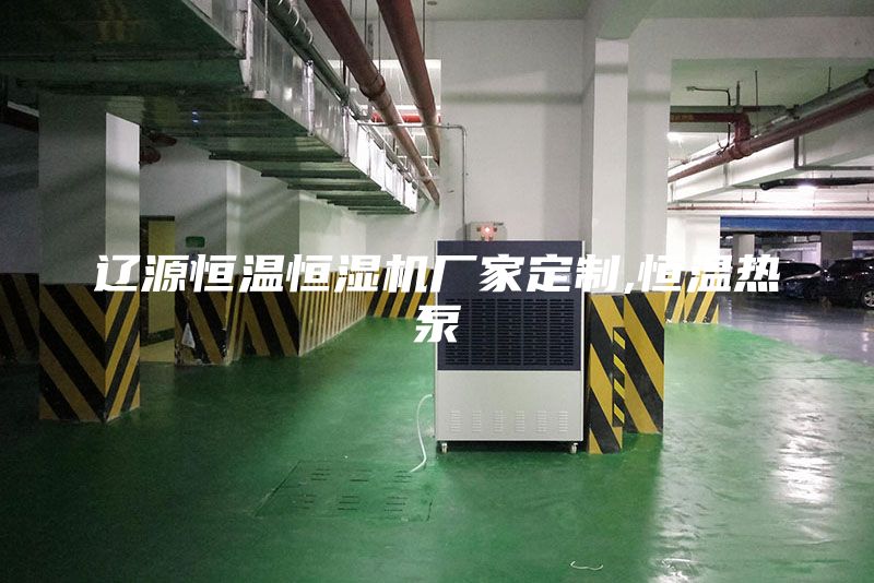 辽源恒温恒湿机厂家定制,恒温热泵