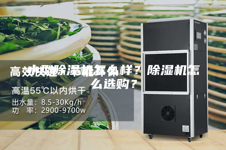 小型除湿机怎么样？除湿机怎么选购？