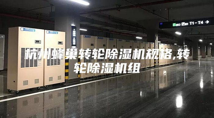 杭州蜂巢转轮除湿机规格,转轮除湿机组