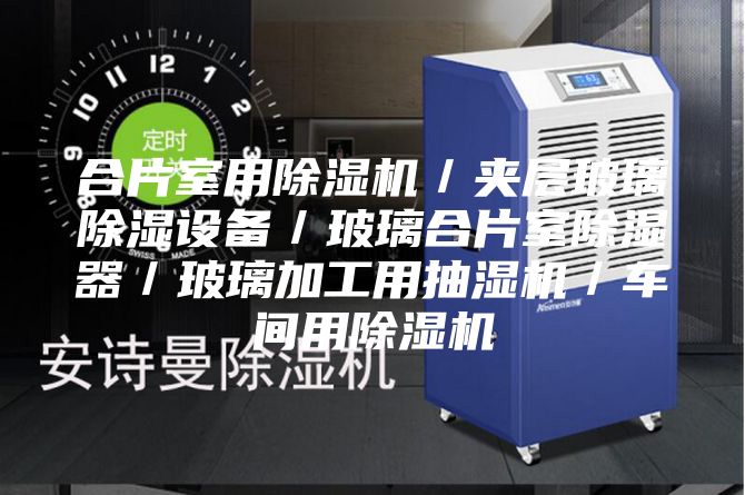 合片室用除湿机／夹层玻璃除湿设备／玻璃合片室除湿器／玻璃加工用抽湿机／车间用除湿机