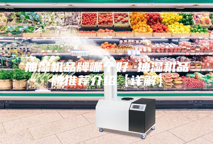 抽湿机品牌哪个好 抽湿机品牌推荐介绍【详解】