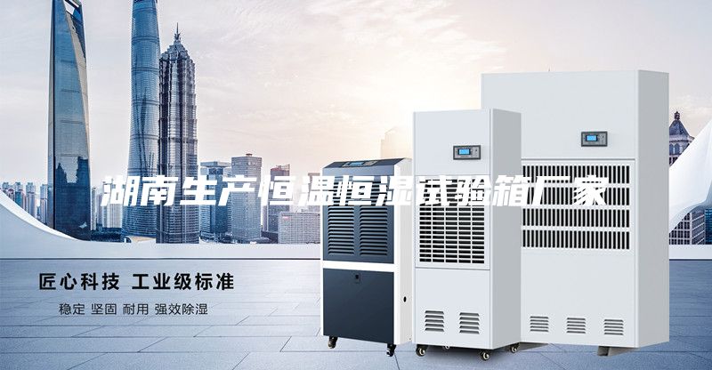 湖南生产恒温恒湿试验箱厂家