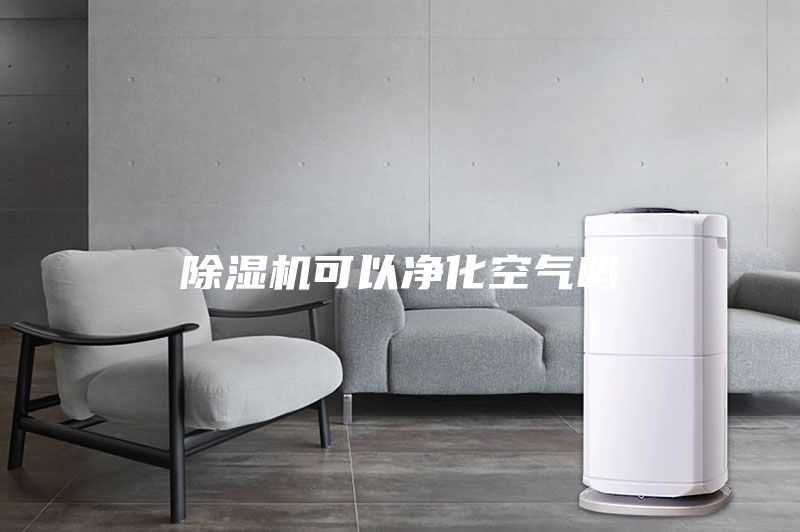 除湿机可以净化空气吗