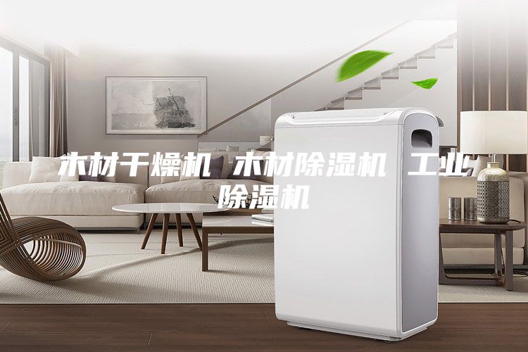 木材干燥机 木材除湿机 工业除湿机
