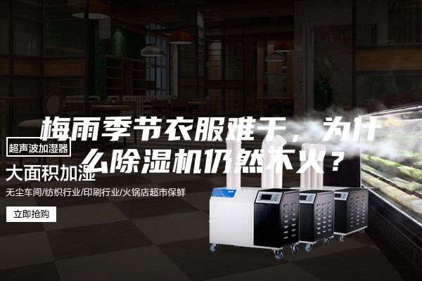 梅雨季节衣服难干，为什么除湿机仍然不火？