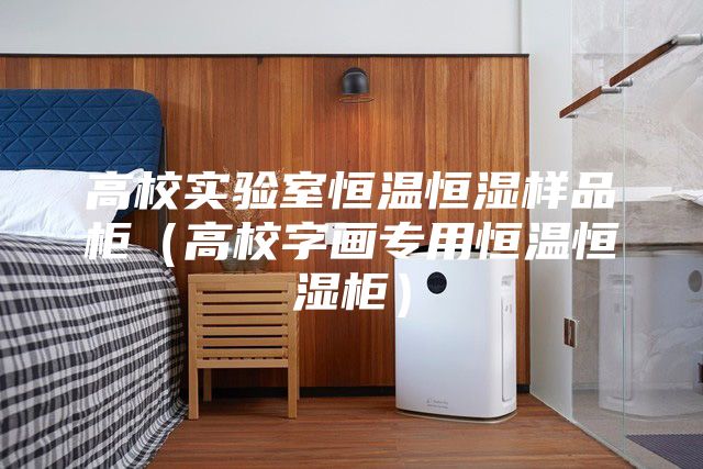 高校实验室恒温恒湿样品柜（高校字画专用恒温恒湿柜）